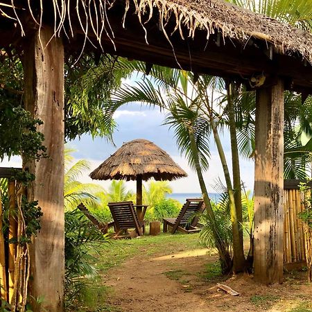 Palmlea Farms Lodge & Bures - Villas Labasa Exterior photo